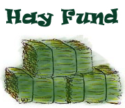 Hay Fund